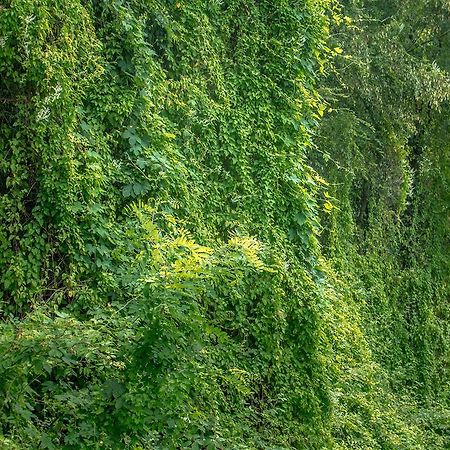 Willa Turisticna Kmetija Stanfel Podsabotin Zewnętrze zdjęcie